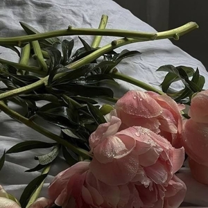 الهام پورستایش