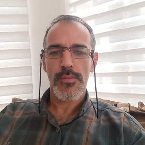 سید مصطفی وزیری